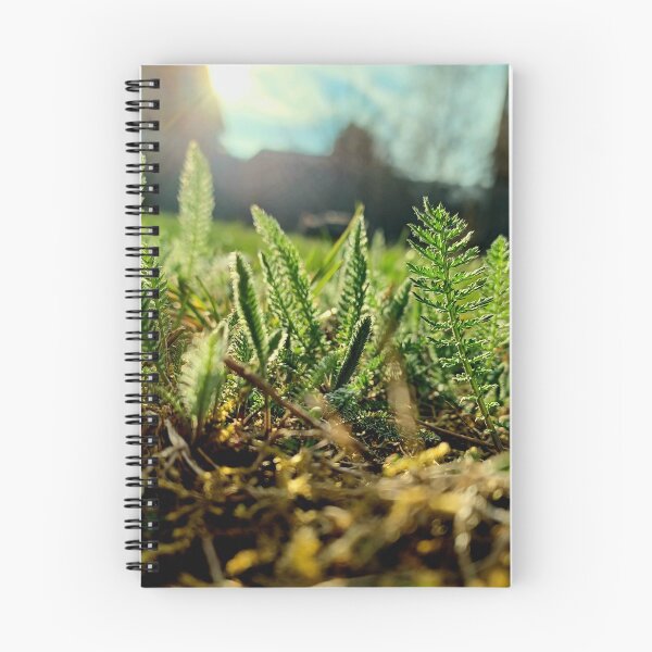 Item preview, Little green plants in the garden with sunset designed and sold by CiniArt.