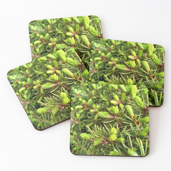 Item preview, Fresh stems macro photo of a beautiful little pine tree in vibrant green designed and sold by CiniArt.