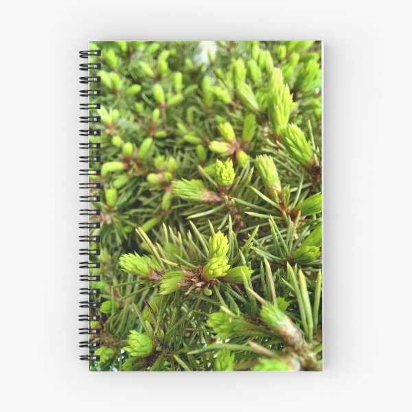 Item preview, Fresh stems macro photo of a beautiful little pine tree in vibrant green designed and sold by CiniArt.