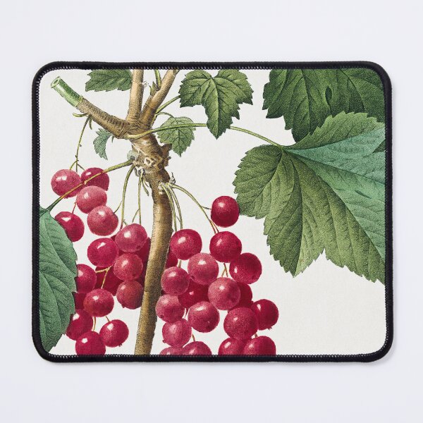 Item preview, Red Currant (1759–1840) Vintage Hand Drawn Flower Sketch (Botanical drawing) designed and sold by UsedToBeStatue.