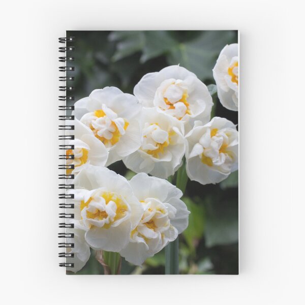 Item preview, Little Daffs designed and sold by Graeme  Hunt.