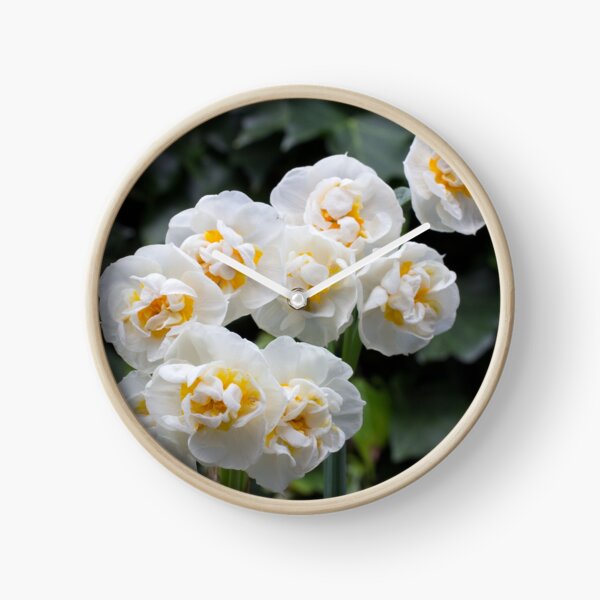 Item preview, Little Daffs designed and sold by Graeme  Hunt.