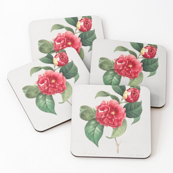 Item preview, Choix des plus belles fleurs (1759–1840) Vintage Hand Drawn Flower Sketch (Botanical drawing) designed and sold by UsedToBeStatue.