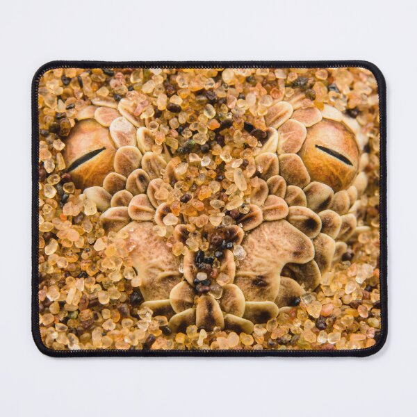 Item preview, Namib's gaze designed and sold by Emanuele Biggi.