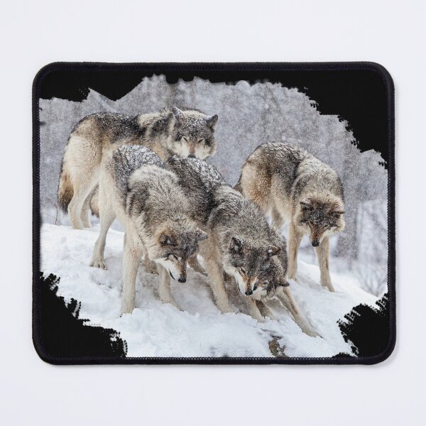 Item preview, Timber Wolf Walking in the Snow designed and sold by david parry.