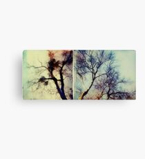 nudes Canvas Print