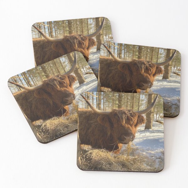 Artikelvorschau, Scottish Highland Cattle Cow 3240 entworfen und verkauft von SaarelaHighland.