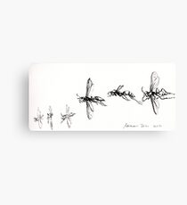 Ink Insect Canvas Print