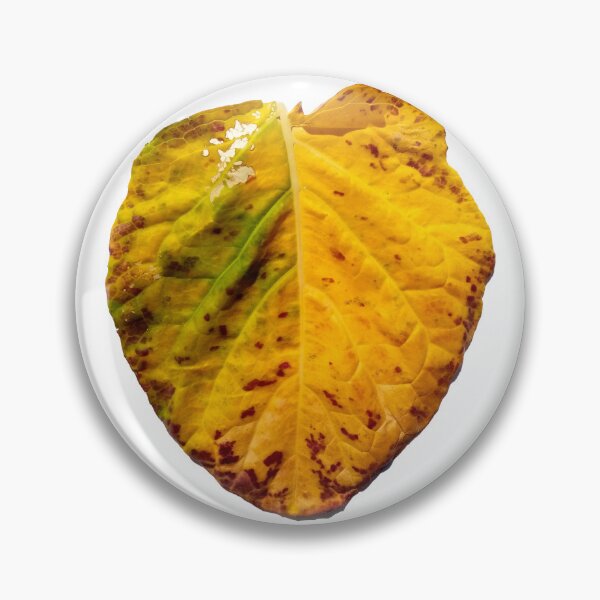 Item preview, Old collard leaf designed and sold by Gaspar Avila.