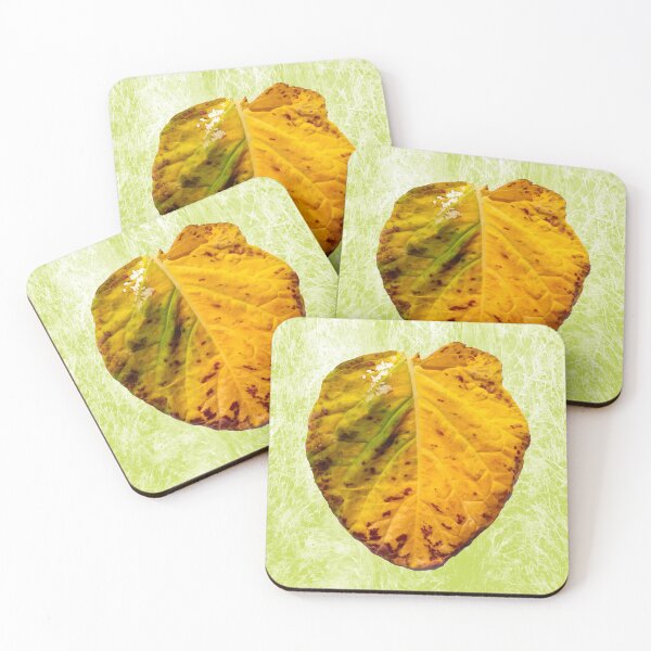 Item preview, Old collard leaf designed and sold by Gaspar Avila.