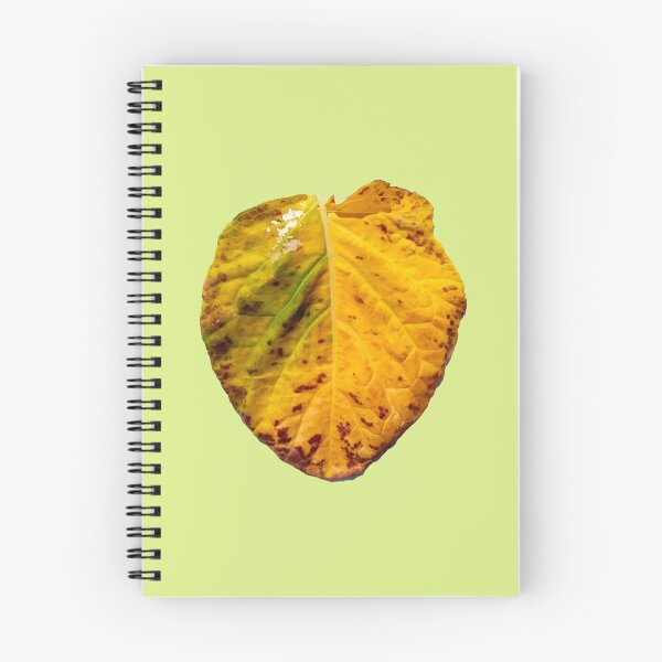 Item preview, Old collard leaf designed and sold by Gaspar Avila.