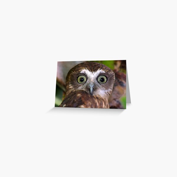 Bright Eyes Greeting Card