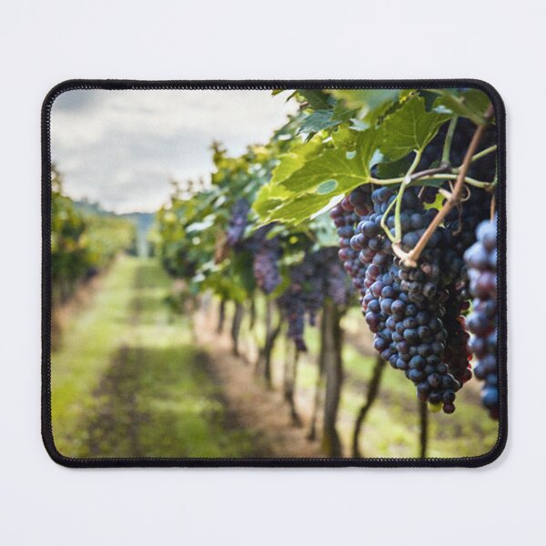 Item preview, Vineyard Painting designed and sold by kimberpix.