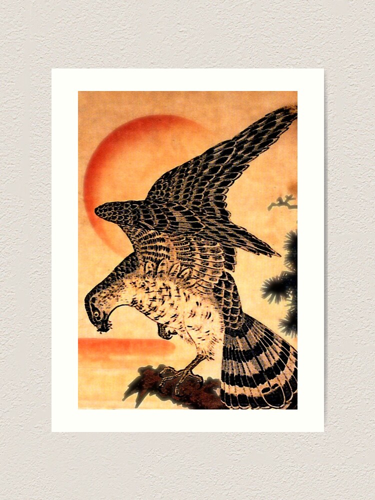 Anton Znaniecki ハヤブサ Falcon 絵画 John Gould - Falco Peregrinus