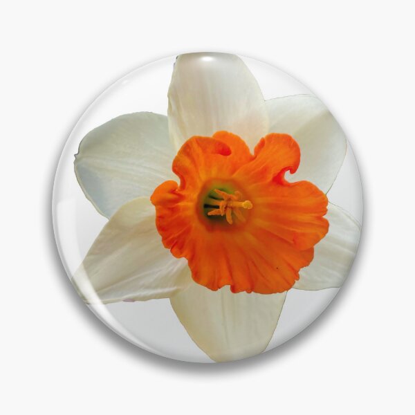 Item preview, Springtime Orange and White Daffodil designed and sold by LadyKandis.