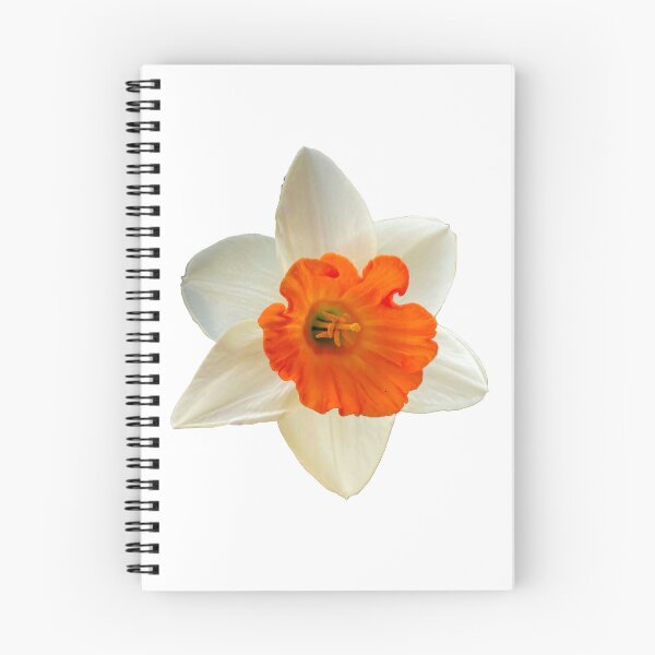 Item preview, Springtime Orange and White Daffodil designed and sold by LadyKandis.