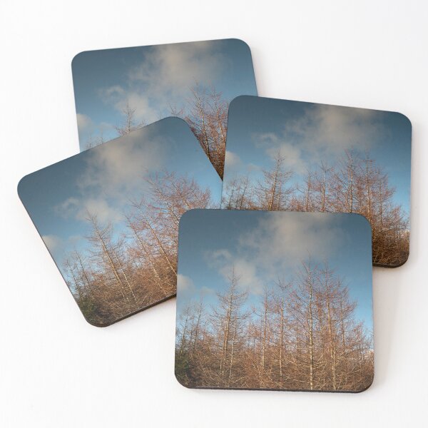 Item preview, winter sun on durris forest designed and sold by codaimages.