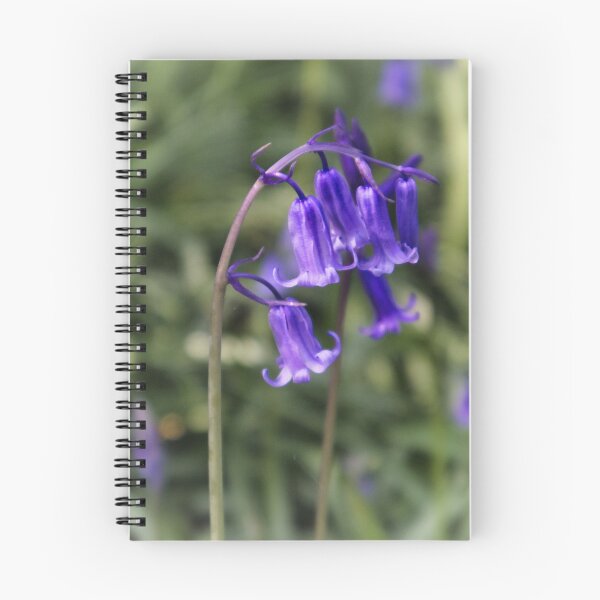 Item preview, close up of bluebell designed and sold by Ann Biddlecombe.