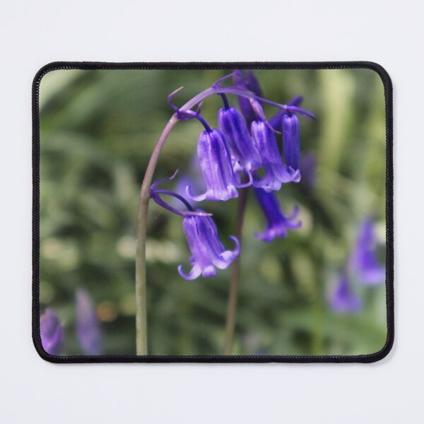 Item preview, close up of bluebell designed and sold by Ann Biddlecombe.