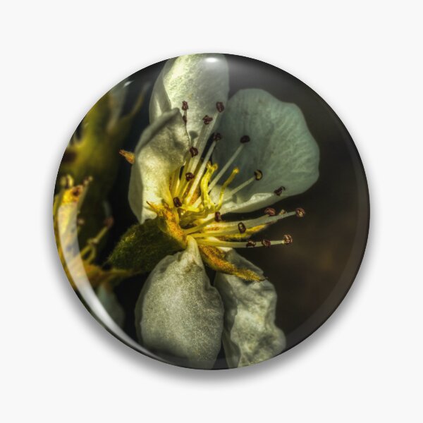 Item preview, Flor de pera HDR designed and sold by axp7884.
