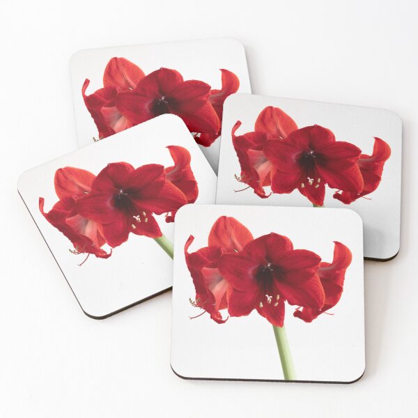 Item preview, amaryllis designed and sold by codaimages.