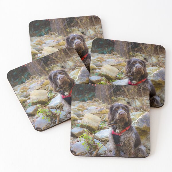 Item preview, Monty Hiking Linville Gorge designed and sold by Isla Creek Casuals.