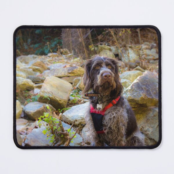 Item preview, Monty Hiking Linville Gorge designed and sold by Isla Creek Casuals.