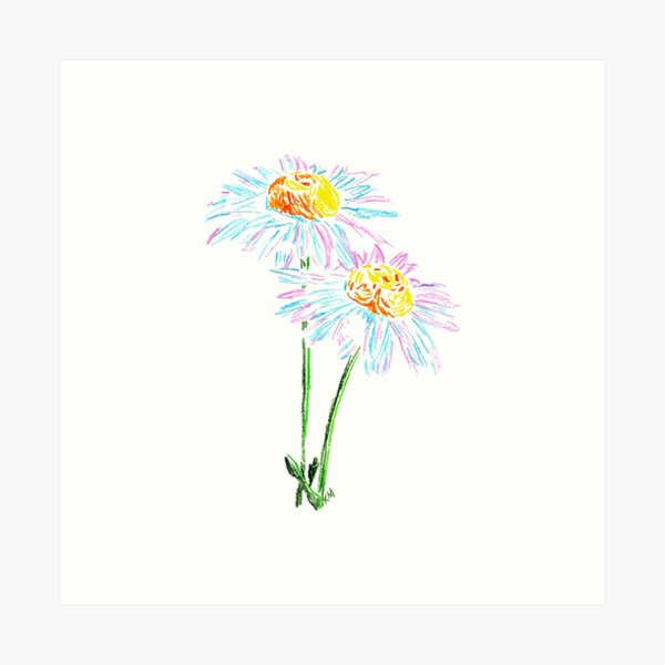 2022 04 flowers 01 daisy Art Print