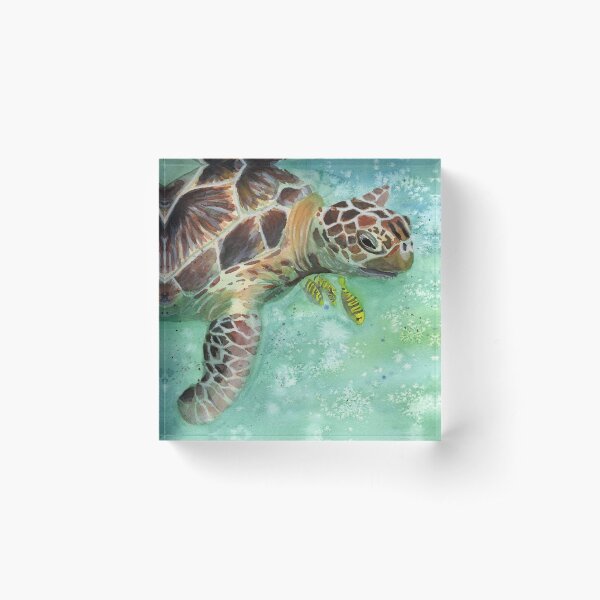 Watercolor Sea Turtle Original Artwork Acrylic Block