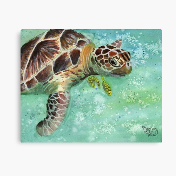 Watercolor Sea Turtle Original Artwork Canvas Print