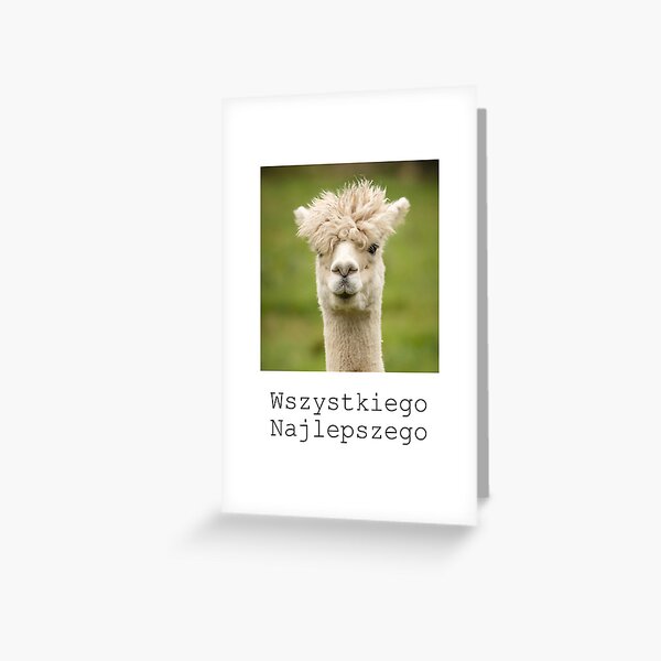 Item preview, Polish birthday card with alpaca and Polish language  designed and sold by Pommallina.