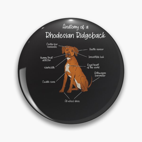 Item preview, Anatomy of a Rhodesian Ridgeback  Dog Rhodesian Ridgeback T-Shirt designed and sold by hoktaka.