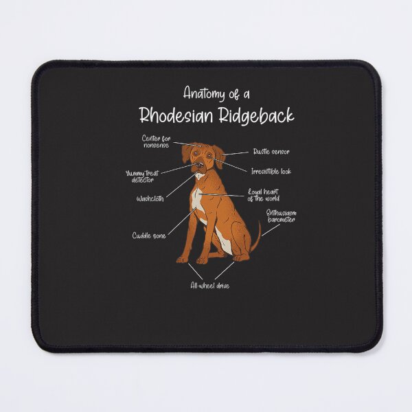 Item preview, Anatomy of a Rhodesian Ridgeback Dog Rhodesian Ridgeback T-Shirt designed and sold by hoktaka.