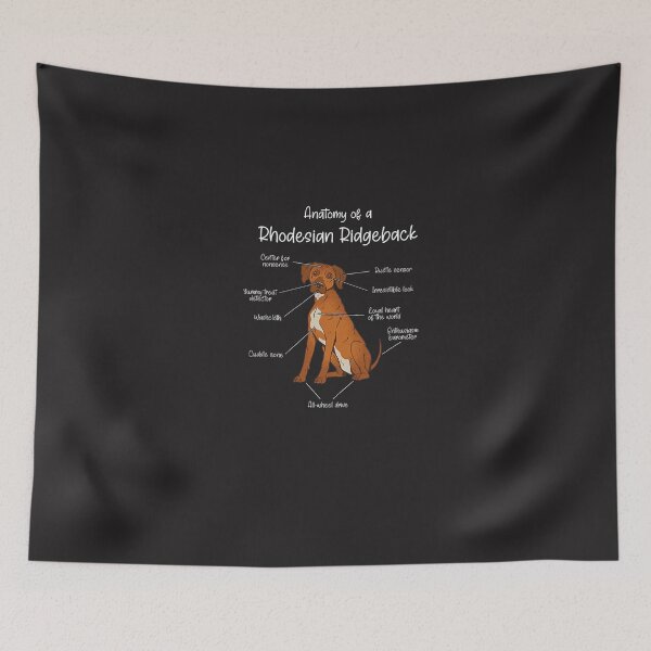 Item preview, Anatomy of a Rhodesian Ridgeback  Dog Rhodesian Ridgeback T-Shirt designed and sold by hoktaka.