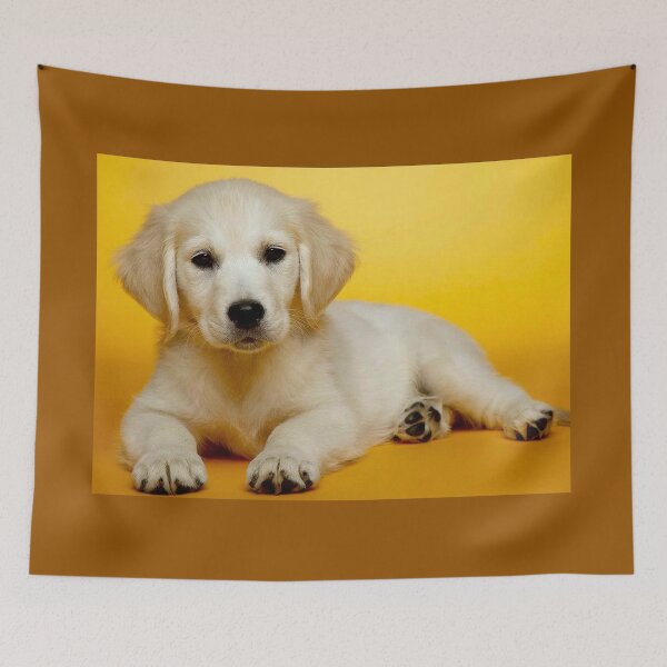 Item preview, GOLDEN RETRIEVER: Puppy Portrat Print designed and sold by posterbobs.