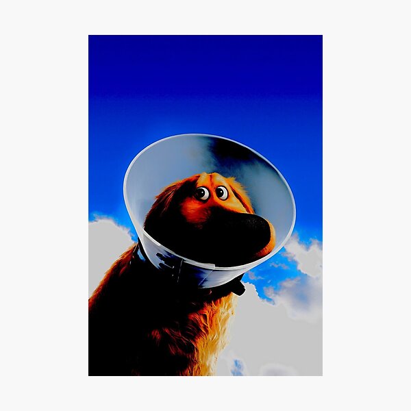 Aperçu de l'œuvre Chien créée et vendue par Emishopp.