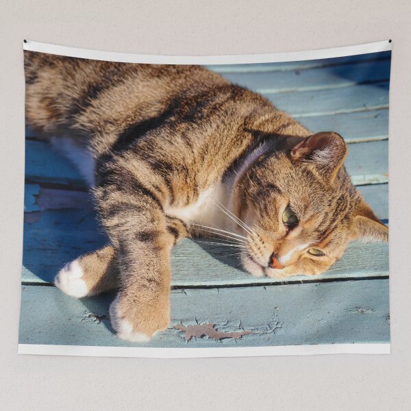 Item preview, A Cat Relaxing in the Sun designed and sold by Michael Worley.