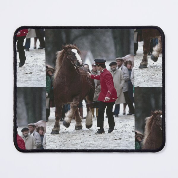 Item preview, r642/ silver time " Open day at Haras de Saintes (17) France 1981 - Journée porte Ouverte au Haras de Saintes " Okaio Créations Olavia-Ola designed and sold by o.okaïo.