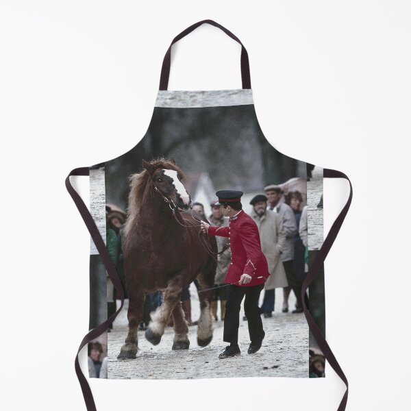 Item preview, r642/ silver time  " Open day at Haras de Saintes (17) France 1981 - Journée porte Ouverte au Haras de Saintes  " Okaio Créations Olavia-Ola designed and sold by o.okaïo.