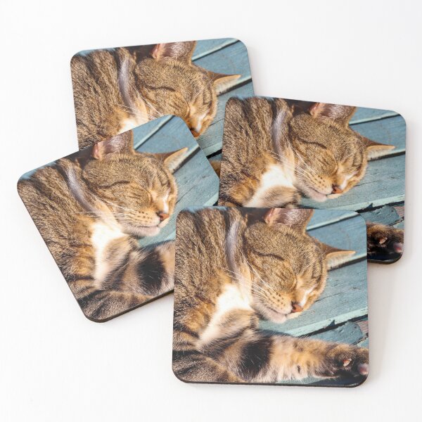 Item preview, A Sunbathing Cat Fast Asleep designed and sold by Michael Worley.