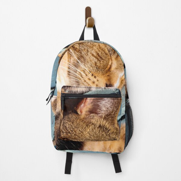 Item preview, A Sunbathing Cat Fast Asleep designed and sold by Michael Worley.