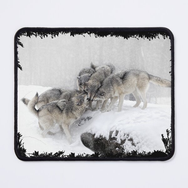 Item preview, Timber Wolf Walking in the Snow designed and sold by david parry.
