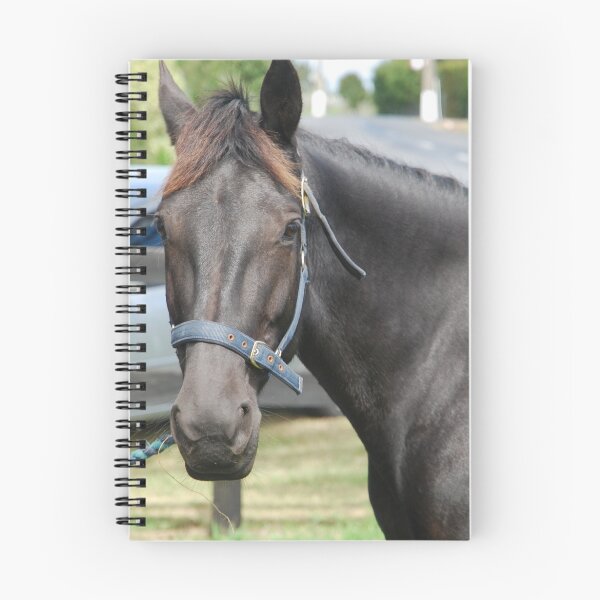 Item preview, Horse Portrait designed and sold by lizdomett.