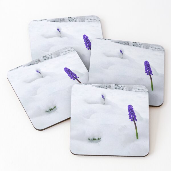Item preview, Bluebells in snow designed and sold by Steve McCarthy.