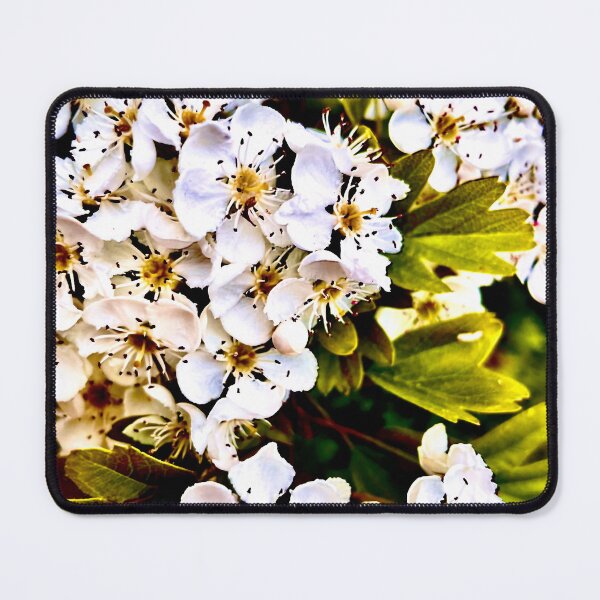 Item preview, Middle of Spring designed and sold by NIKI-NIKOS.