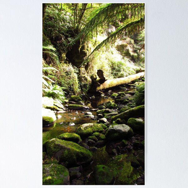 Item preview, Adventures in the Australia Bush designed and sold by csenior.