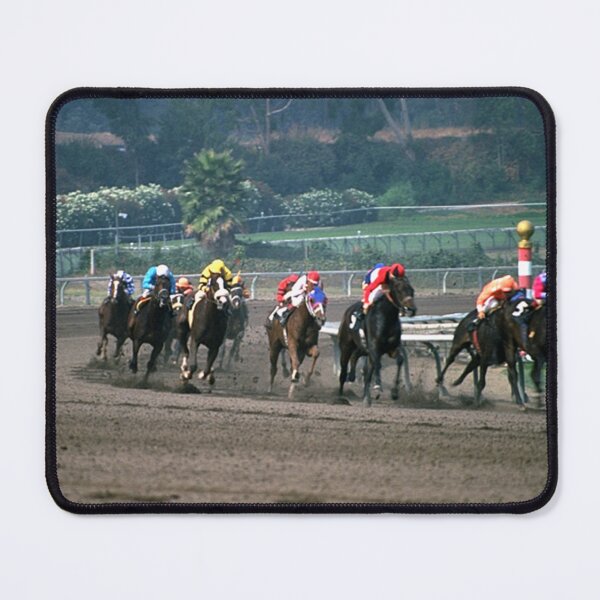 Item preview, Horse racing track designed and sold by KnitNknot.