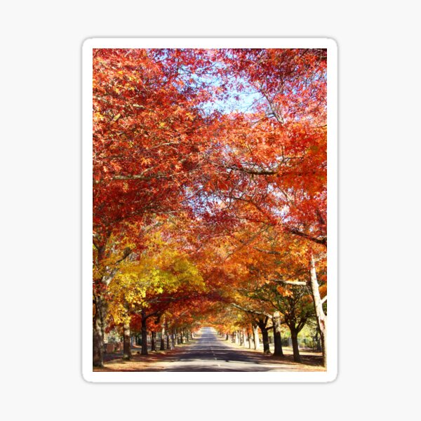 Item preview, Autumn Glory, Mt Macedon, Victoria designed and sold by Susan Henry.