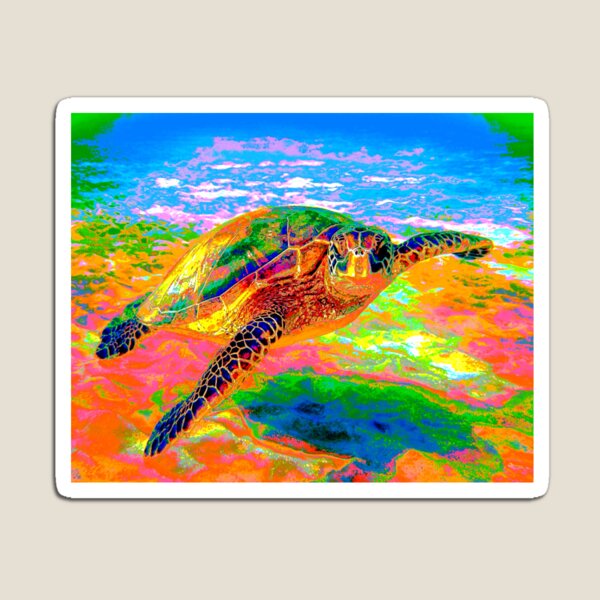 Rainbow Sea Turtle Magnet