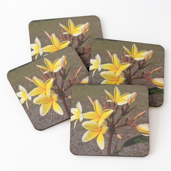 Item preview, Yellow Plumeria Flowers  designed and sold by RudyYoder.